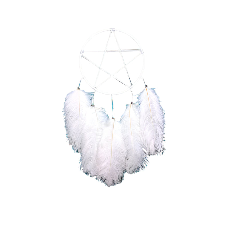 Pentagram with Feathers Light Wall Hanging