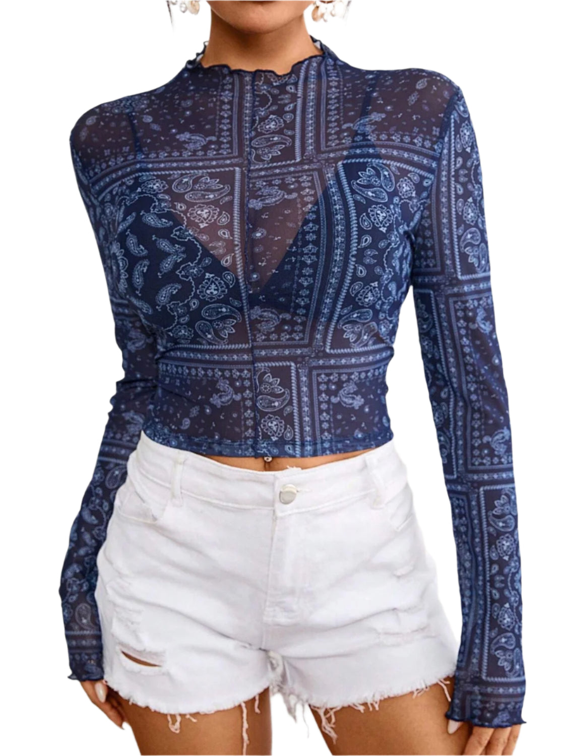 Paisley Mock Neck Long Sleeve Sheer Top
