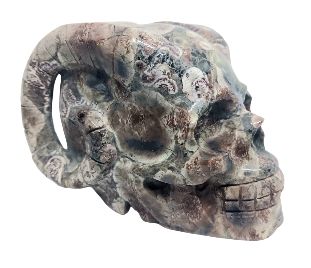 665g Green Flower Jasper Crystal Horned Skull