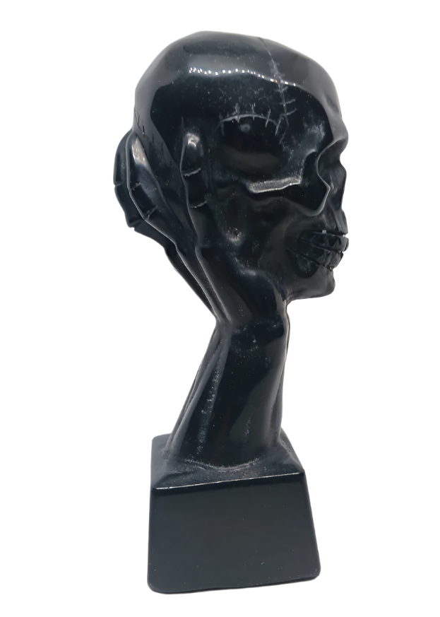 Obsidian Crystal Skull in a Dragon's Hand