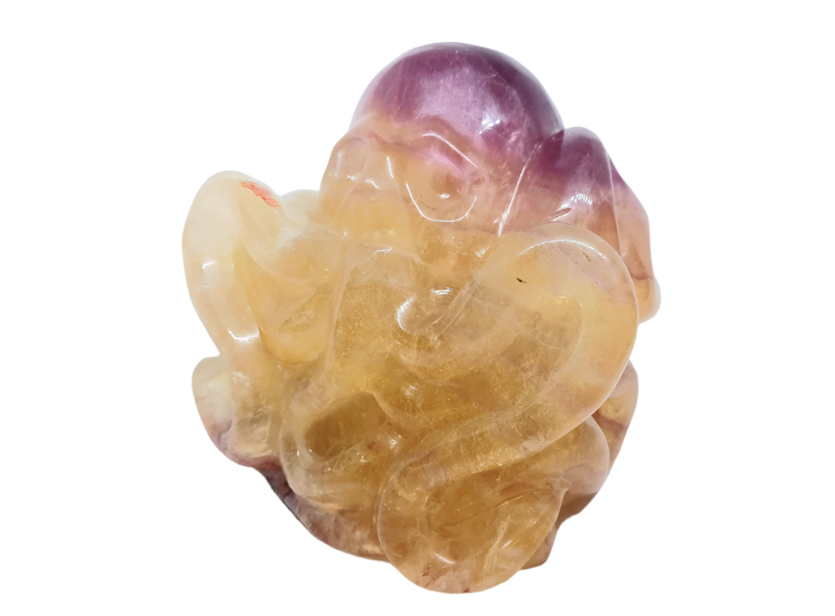 5.5lbs Fluorite Crystal Crystal Octopus with Skull Face