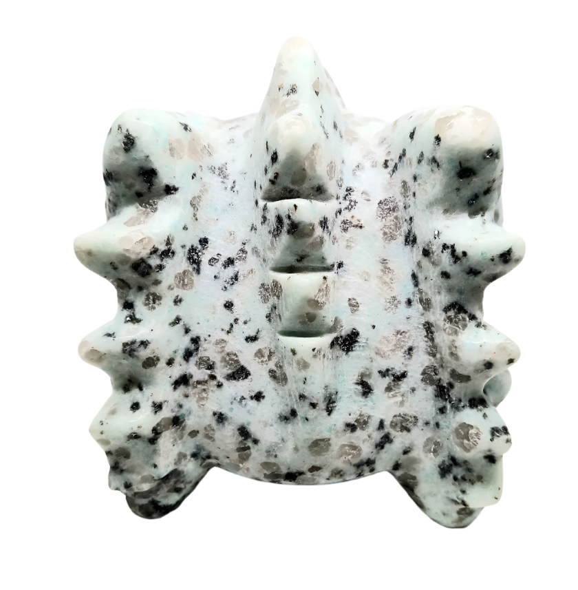 2.1lbs Kiwi Jasper Crystal Dragon Head