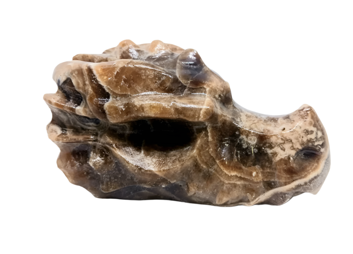 391G Amber Calcite Crystal Dragon Head