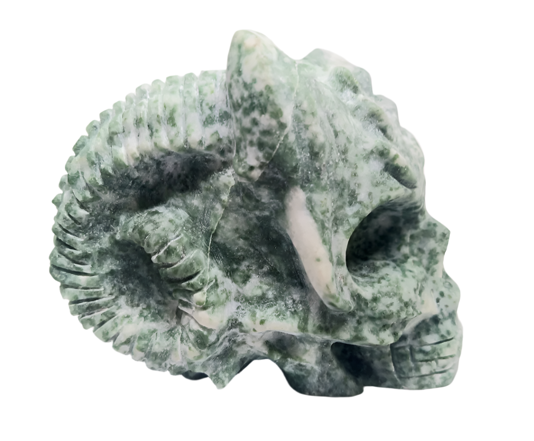 615G Tree Agate Crystal Horned Skull