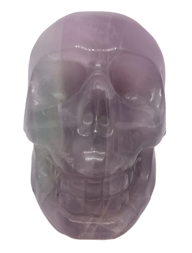 884G Fluorite Crystal Skull