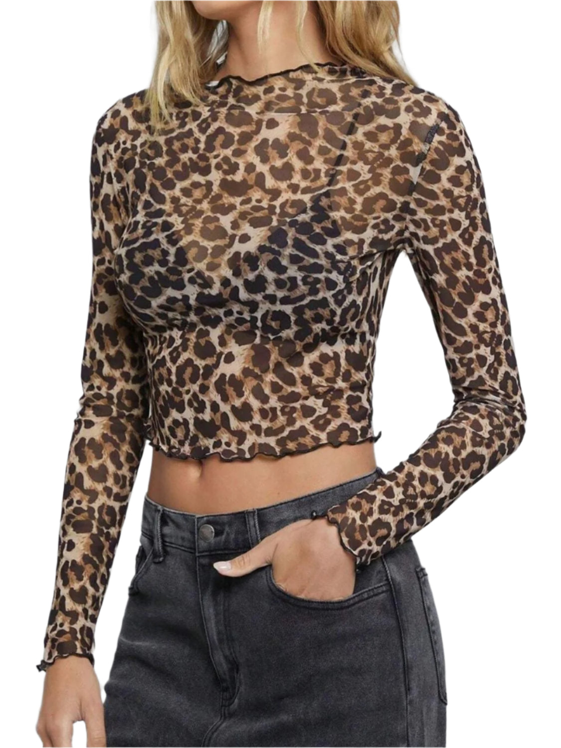 Leopard Mock Neck Long Sleeve Sheer Top