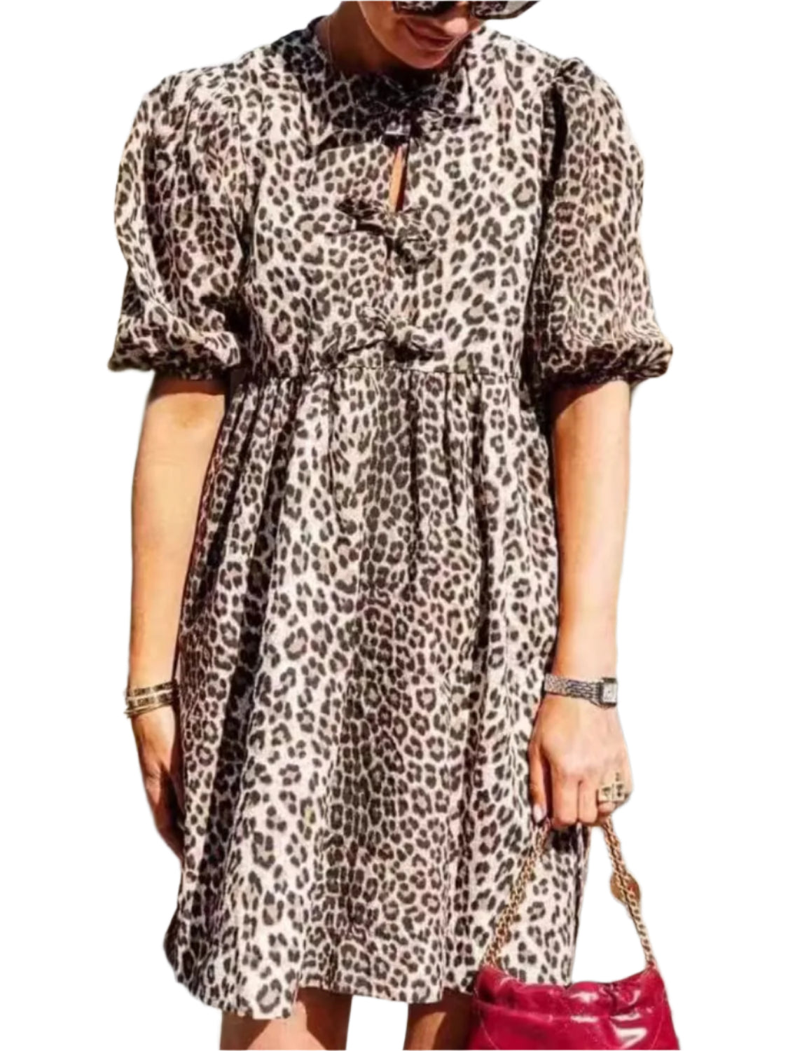 Leopard Short Sleeve Mini Dress