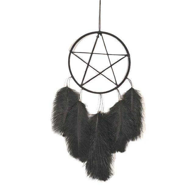 Pentagram with Feathers Light Wall Hanging