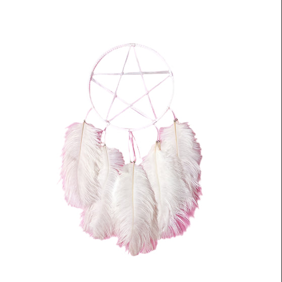 Pentagram with Feathers Light Wall Hanging