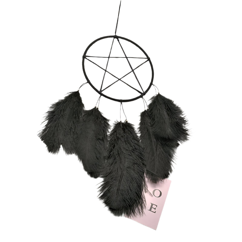 Pentagram with Feathers Light Wall Hanging