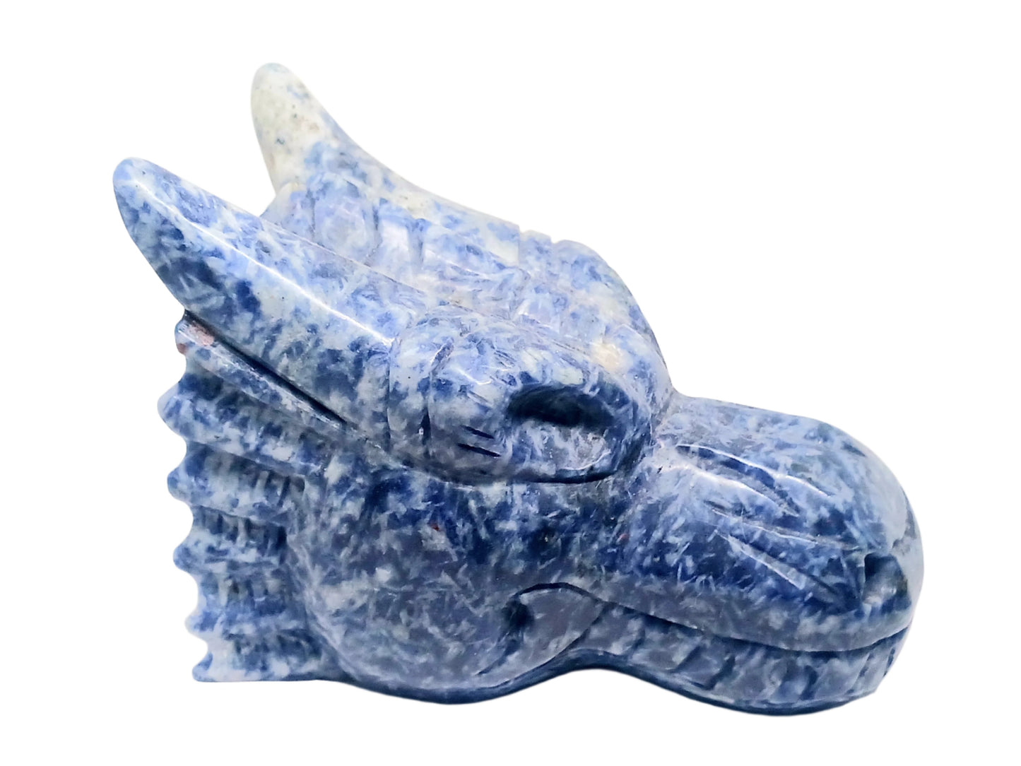 2.8lbs Sodalite Crystal Dragon Head