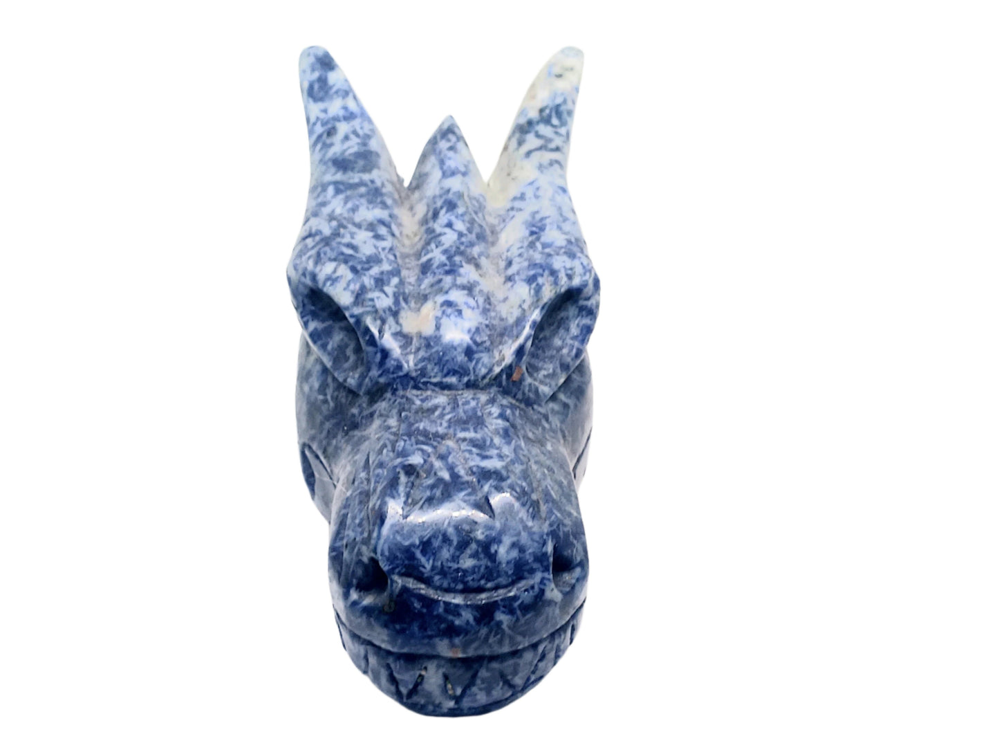 2.8lbs Sodalite Crystal Dragon Head