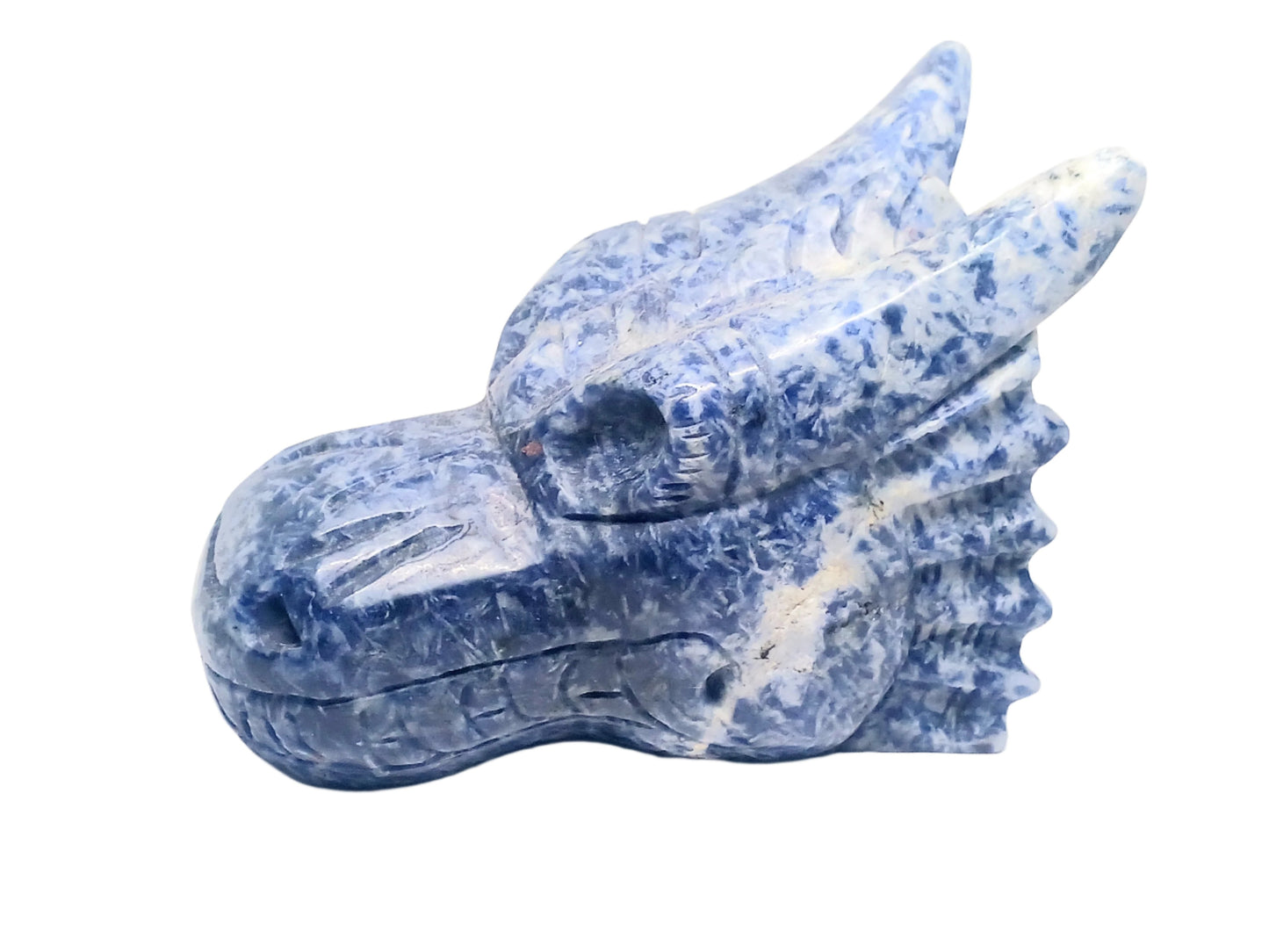 2.8lbs Sodalite Crystal Dragon Head