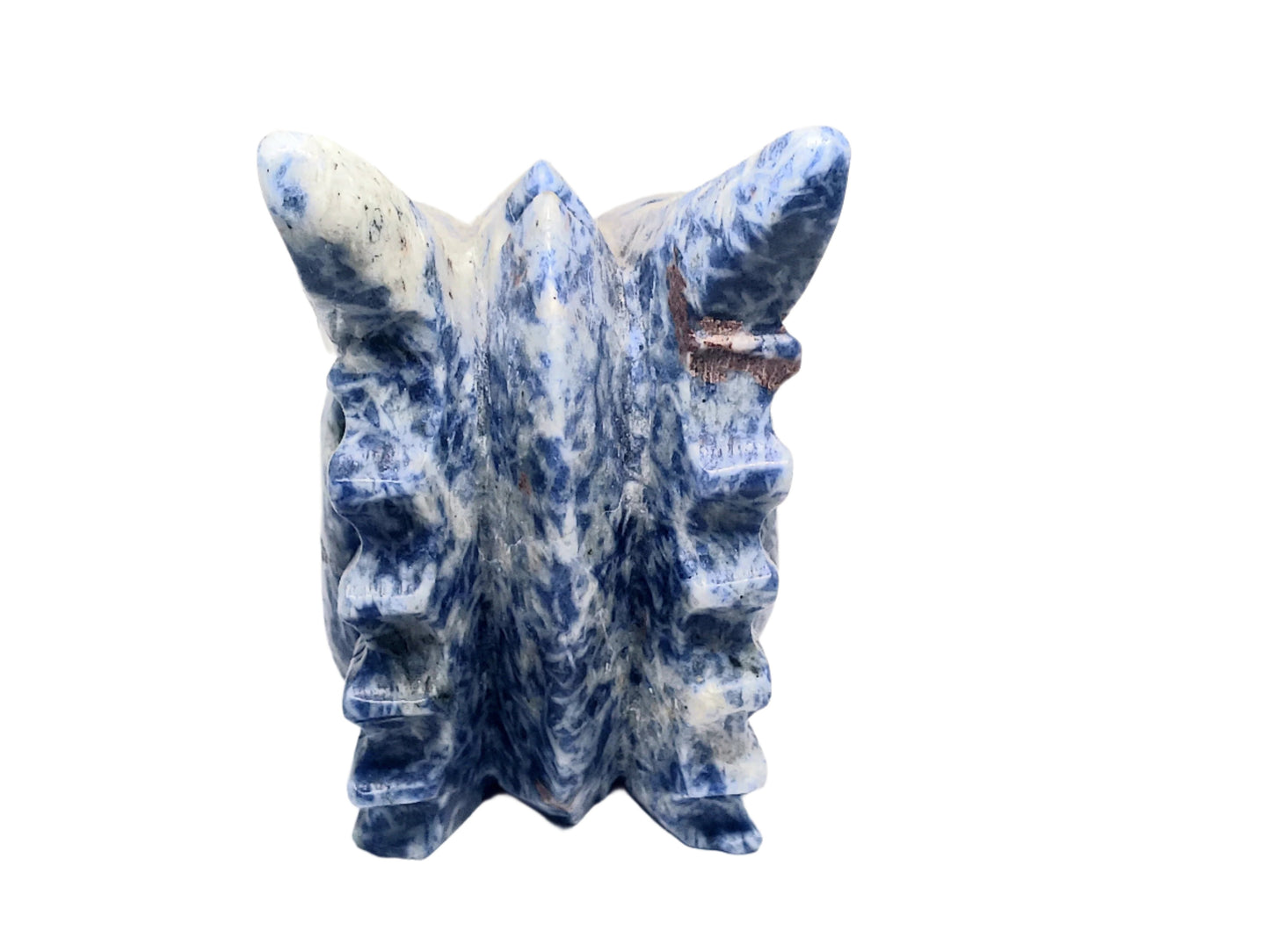 2.8lbs Sodalite Crystal Dragon Head