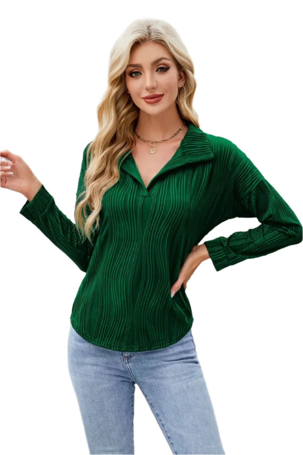 Texture Collared Neck Long Sleeve Blouse
