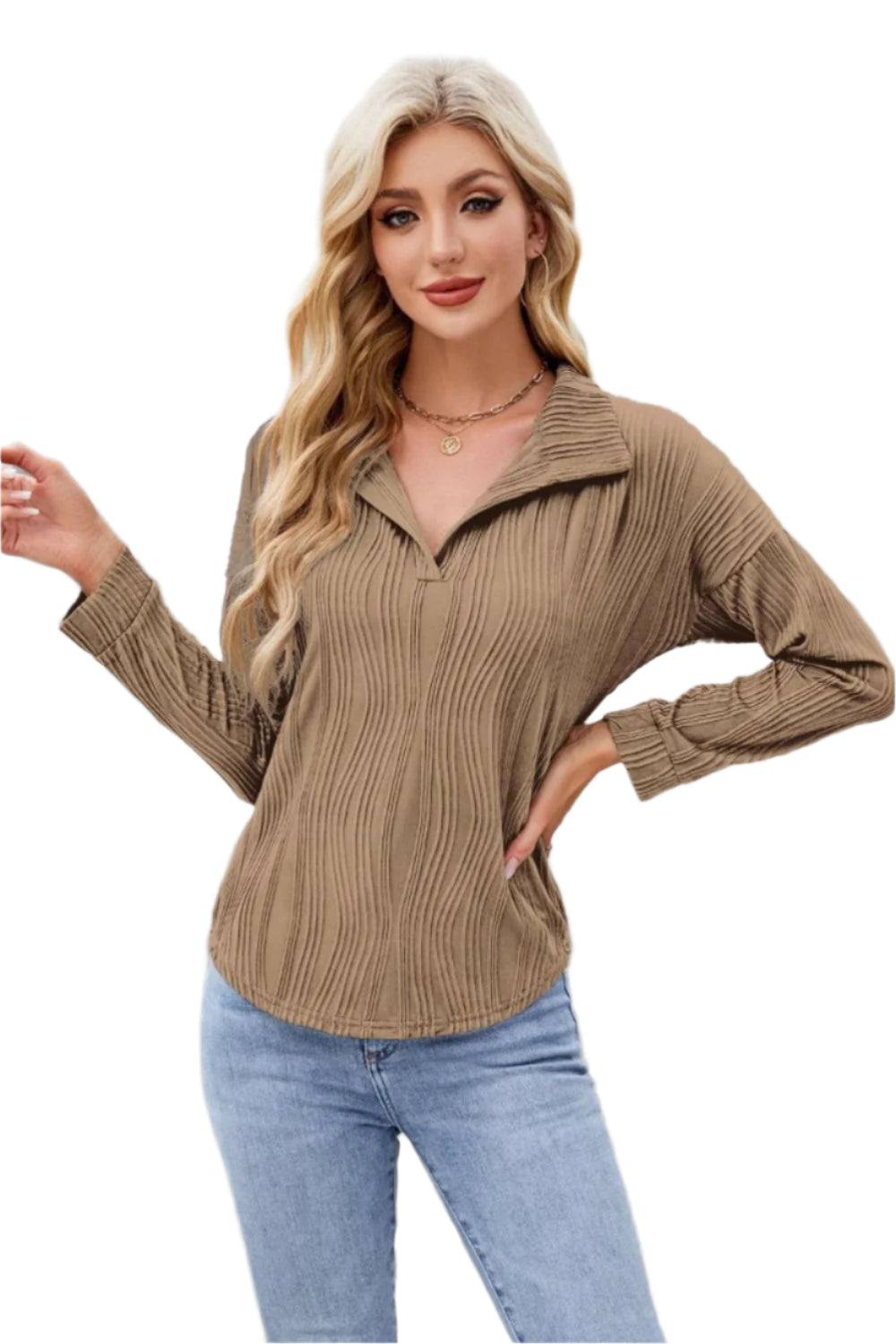 Texture Collared Neck Long Sleeve Blouse