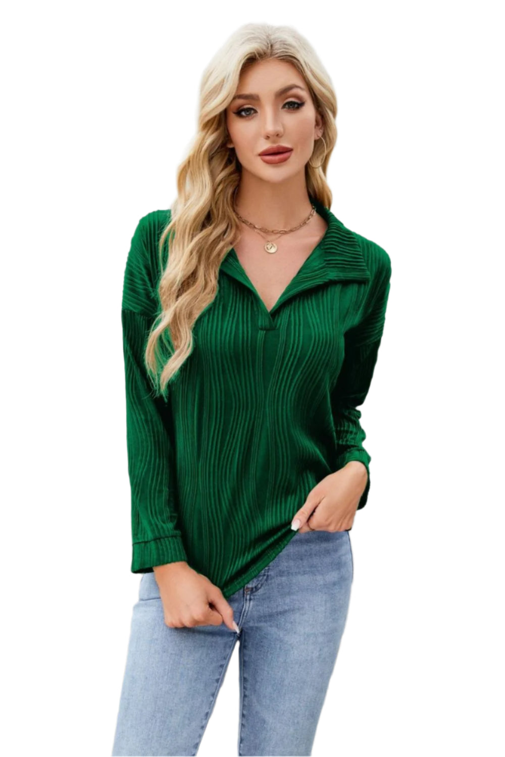 Texture Collared Neck Long Sleeve Blouse