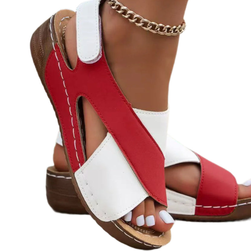 55650535-7df2-4631-9d13-80f4efa135fe-Max