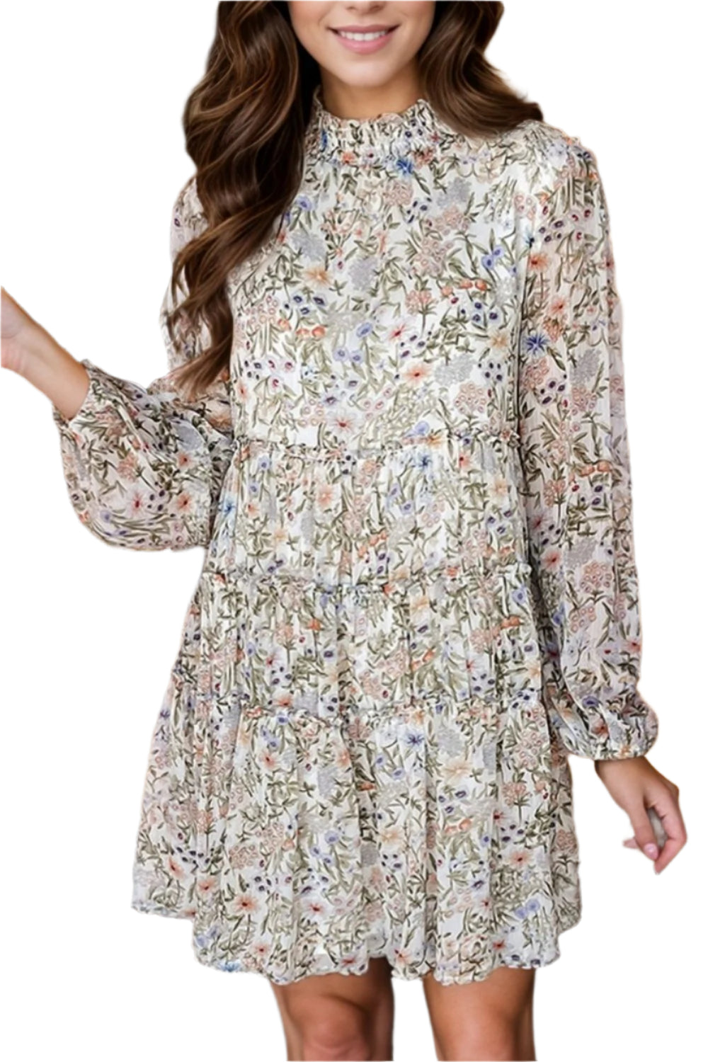 Printed Mock Neck Long Sleeve Mini Dress