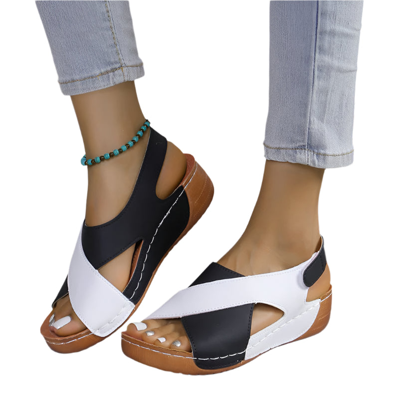 828a1e38-76b8-4e6a-be94-dde4fbd7d2ba-Max