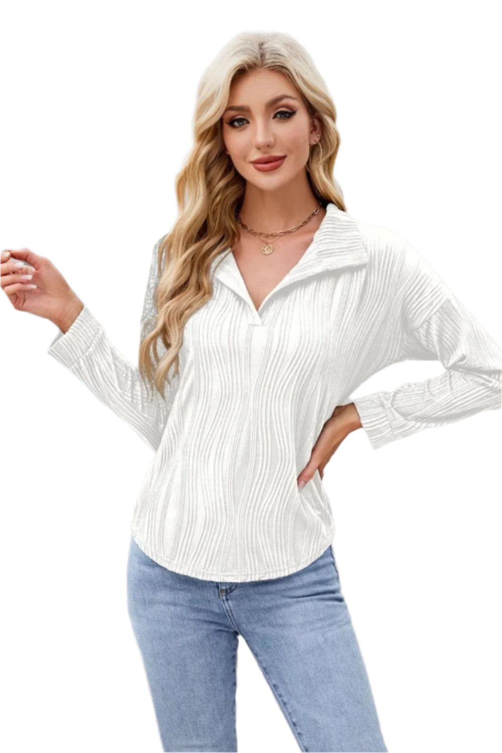Texture Collared Neck Long Sleeve Blouse