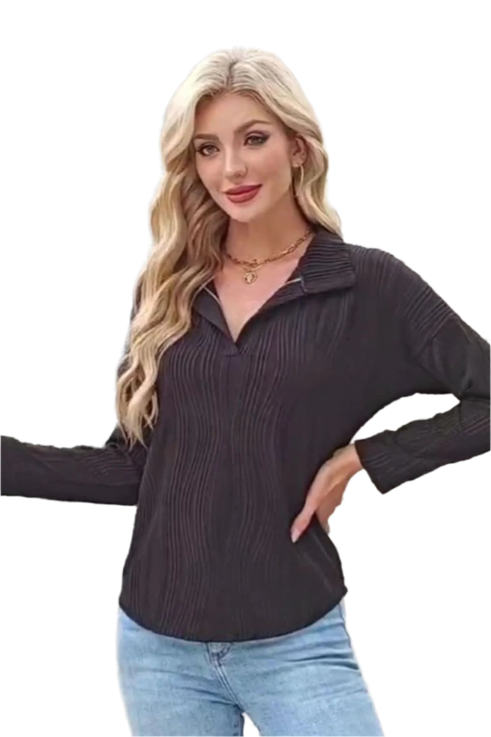 Texture Collared Neck Long Sleeve Blouse