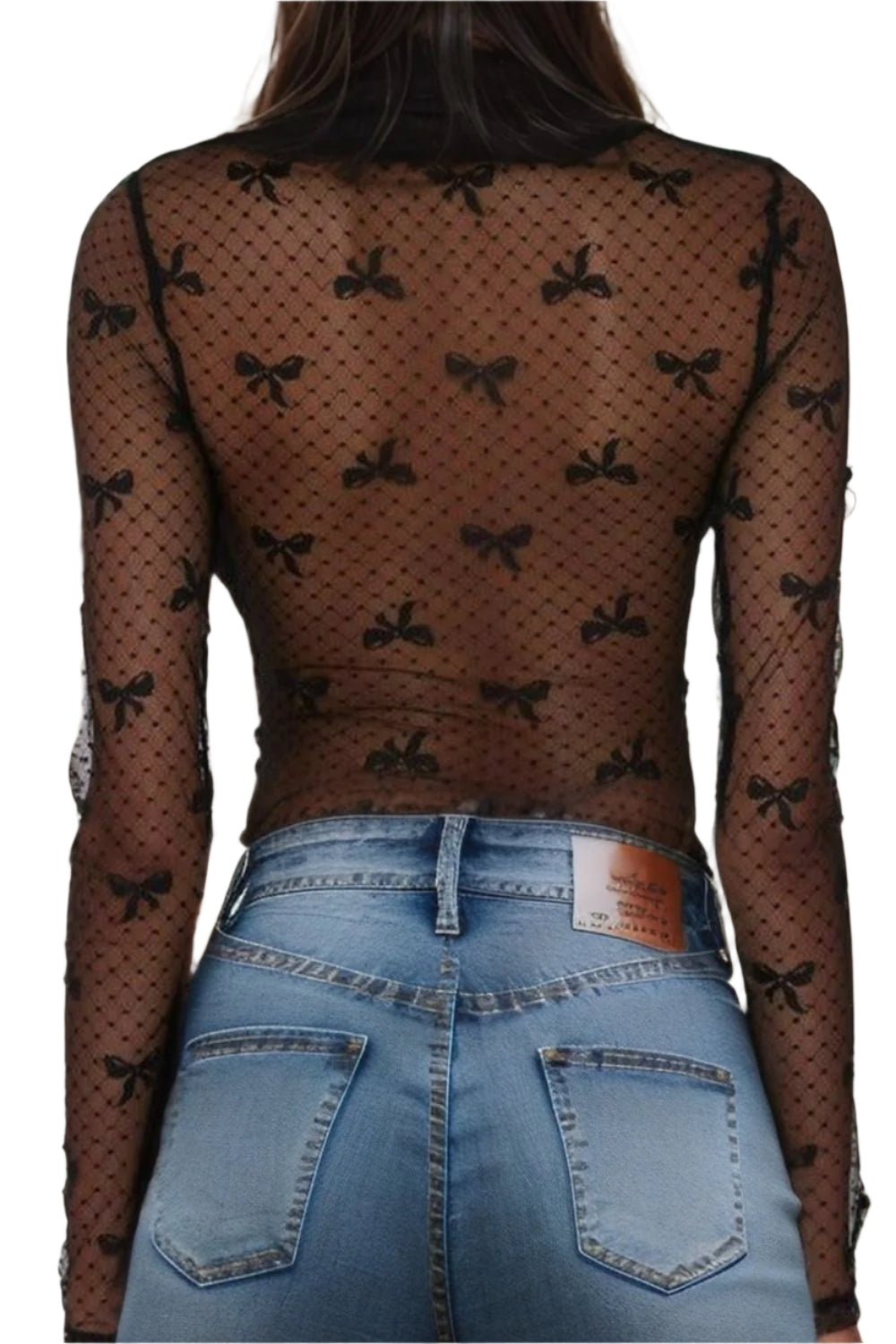 Bow Round Neck Sheer Top