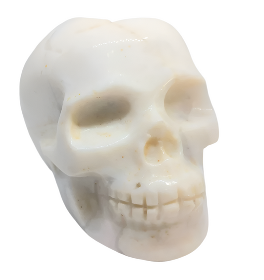 545G White Agate Crystal Skull