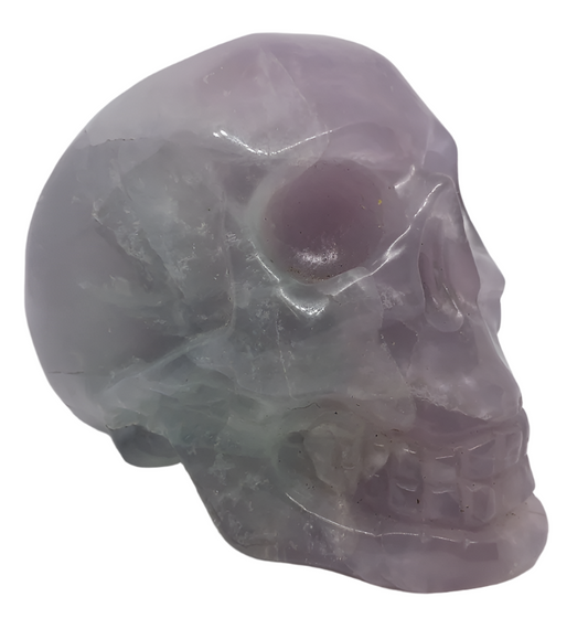 884G Fluorite Crystal Skull