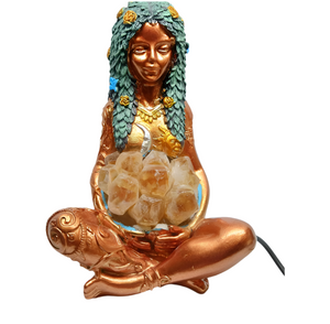 Descriptive image text