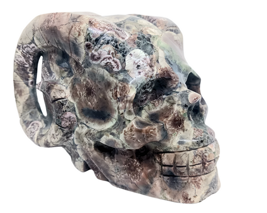 665g Green Flower Jasper Crystal Horned Skull