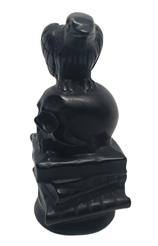 Obsidian Crystal Raven on Skull and Magic Books Carving