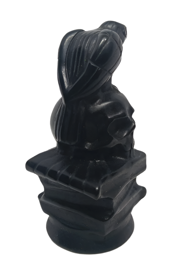 Obsidian Crystal Raven on Skull and Magic Books Carving