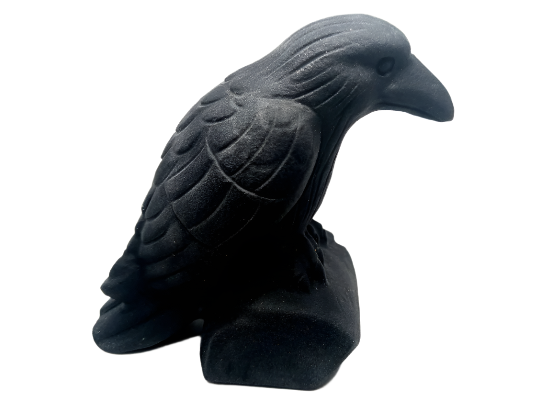 311g Obsidian Crystal Raven