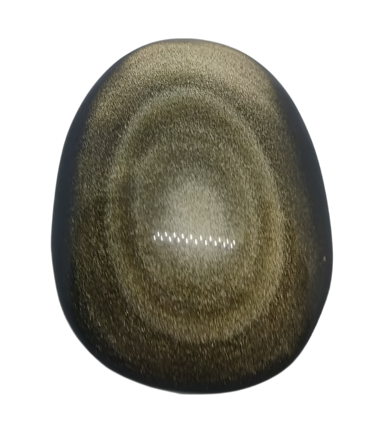 130G Golden Obsidian Palm Stone