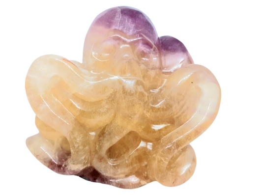 5.5lbs Fluorite Crystal Crystal Octopus with Skull Face