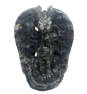 Descriptive image text