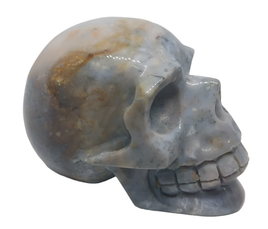 492G Ocean Jasper Crystal Skull