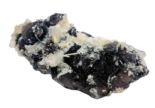 575G Specularite Hematite and Quartz Crystal Symbiosis Raw Specimen