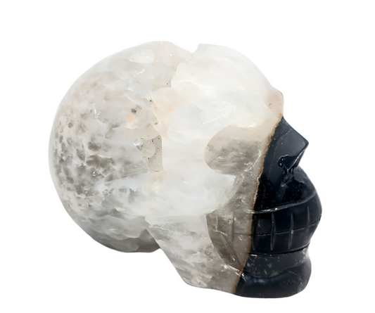 850G Black Agate Crystal Skull