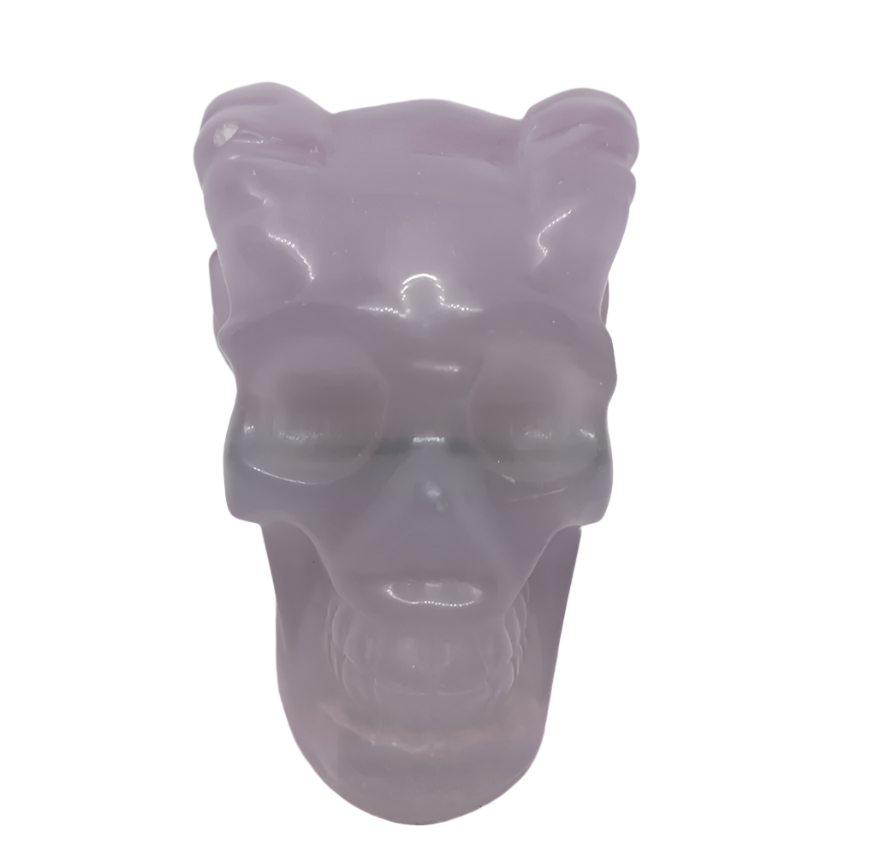 512G Fluorite Crystal Horned Skull