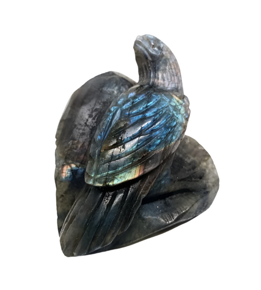 313G Labradorite Crystal Bird Carving