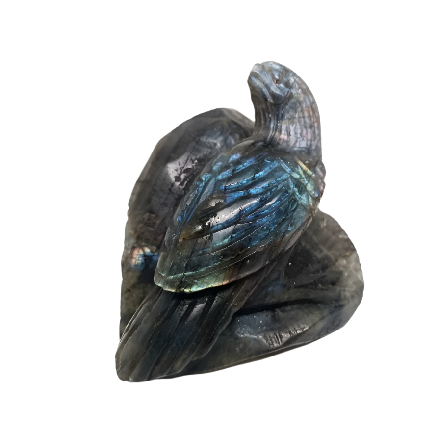 313G Labradorite Crystal Bird Carving