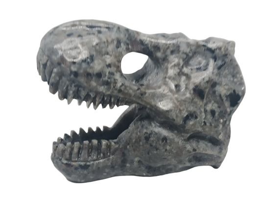 350G Yooperlite Crystal Dinosaur Skull