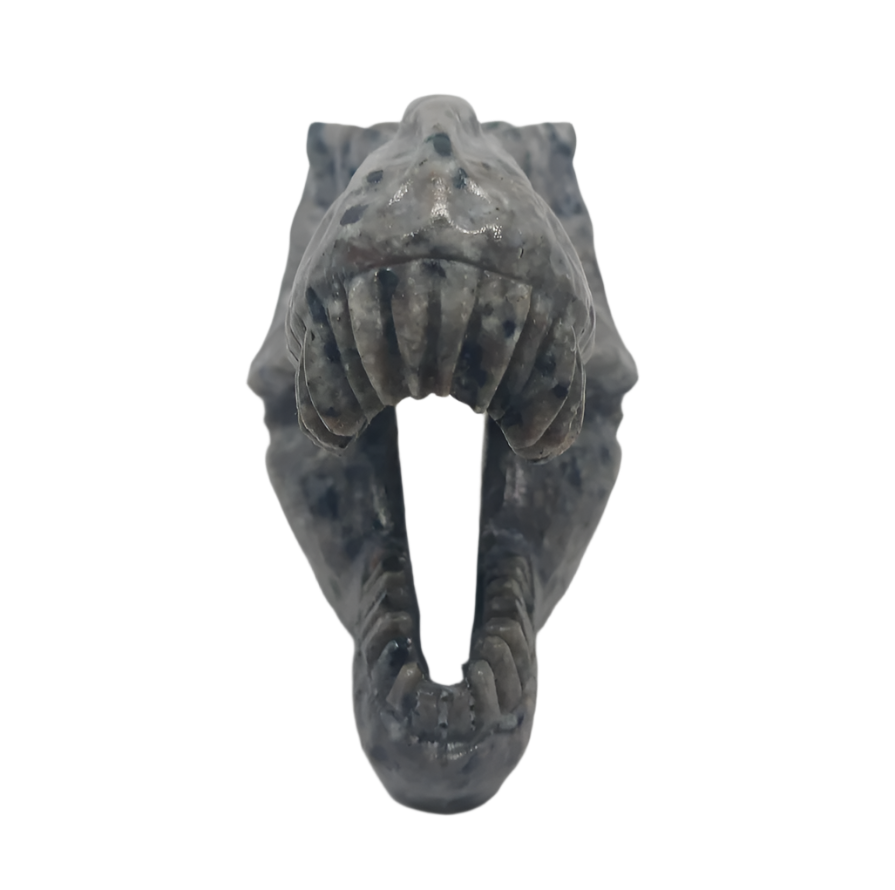 350G Yooperlite Crystal Dinosaur Skull
