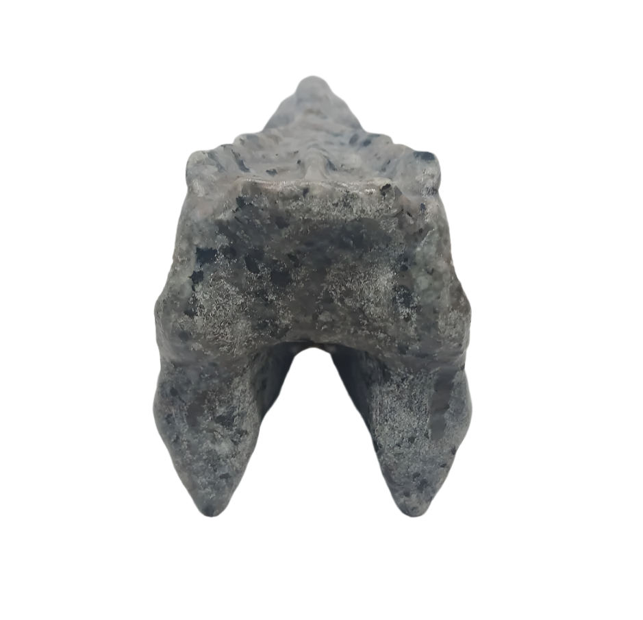 350G Yooperlite Crystal Dinosaur Skull