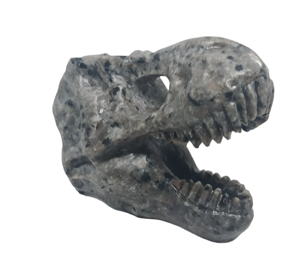 350G Yooperlite Crystal Dinosaur Skull