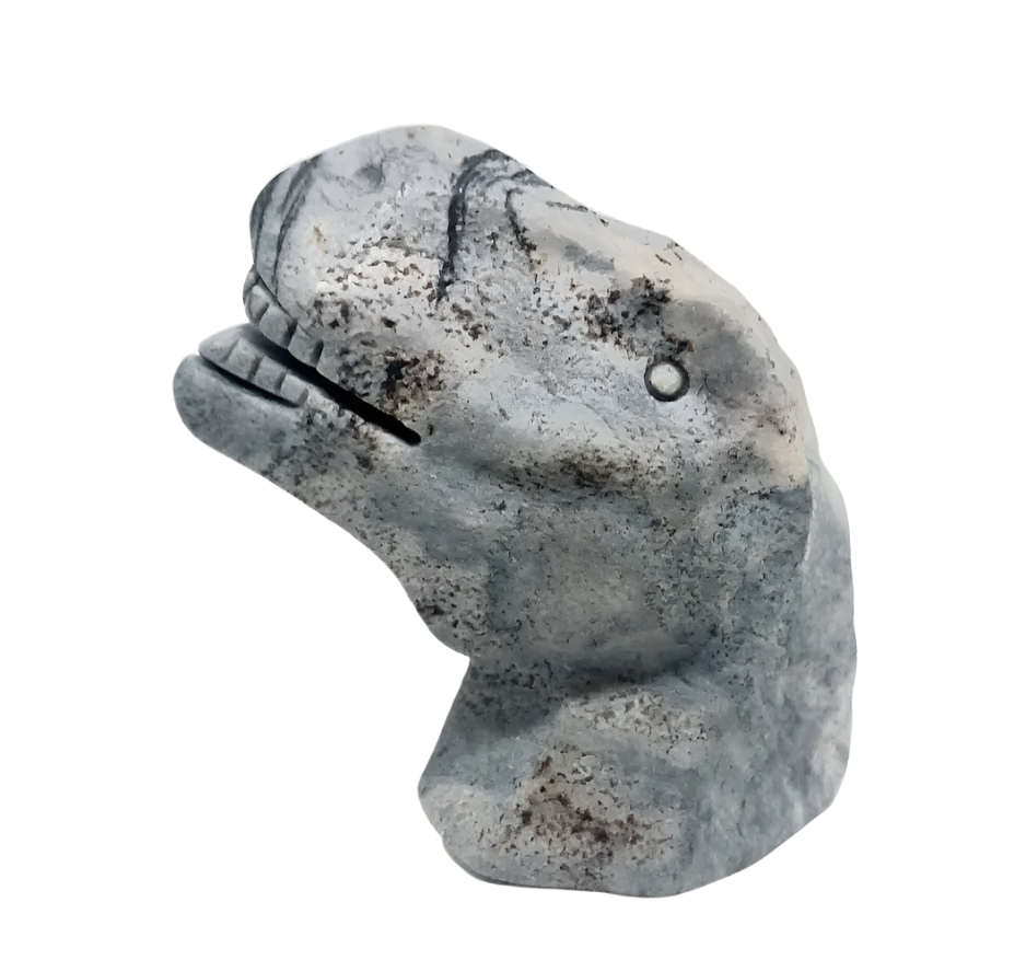 176G Silver Mist Gray Jasper Crystal Dinosaur Head