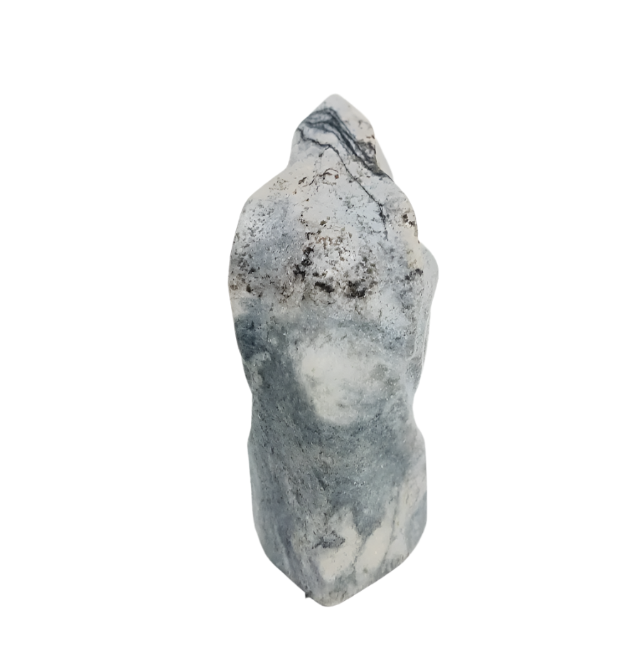 176G Silver Mist Gray Jasper Crystal Dinosaur Head