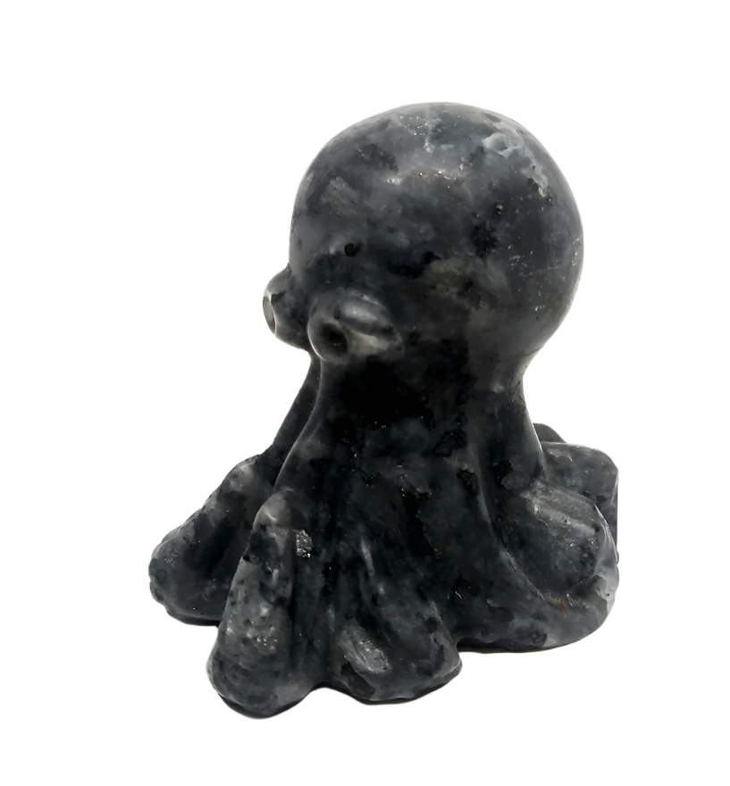 Larvikite Crystal Octopus Carving